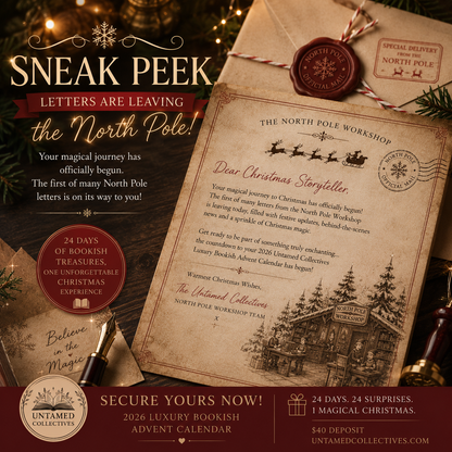 Luxury Christmas Bookish Advent Calendar 2026