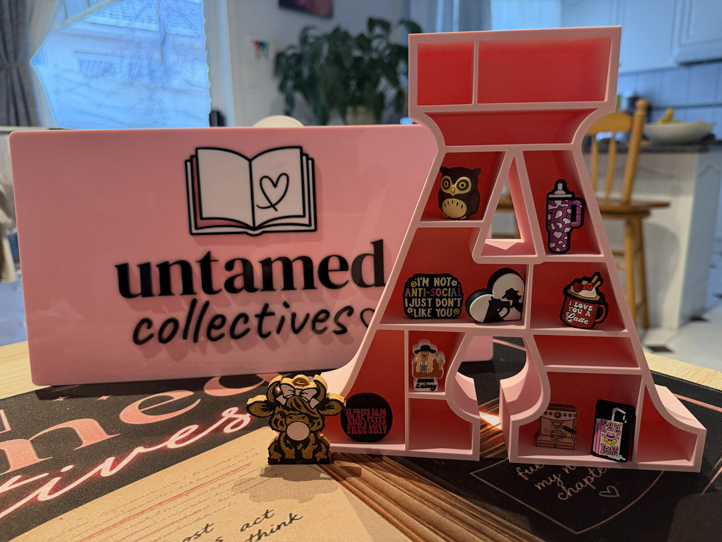 Custom Mini Initial Bookshelf