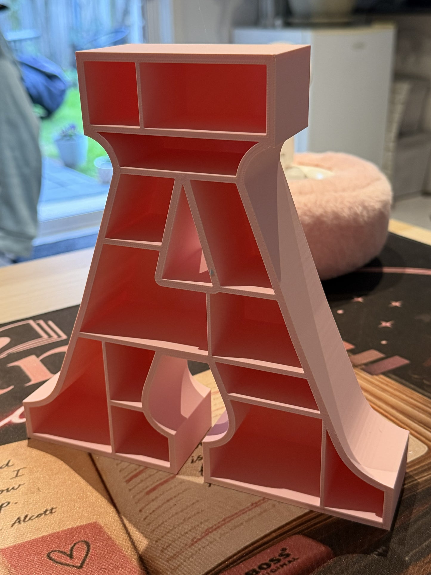 Custom Mini Initial Bookshelf