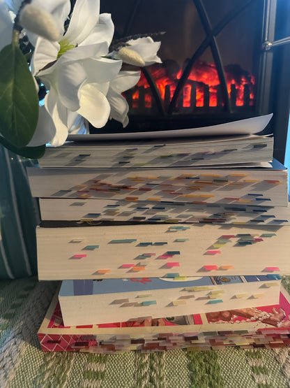 My Year as a Fraud by Johanna Swanberg